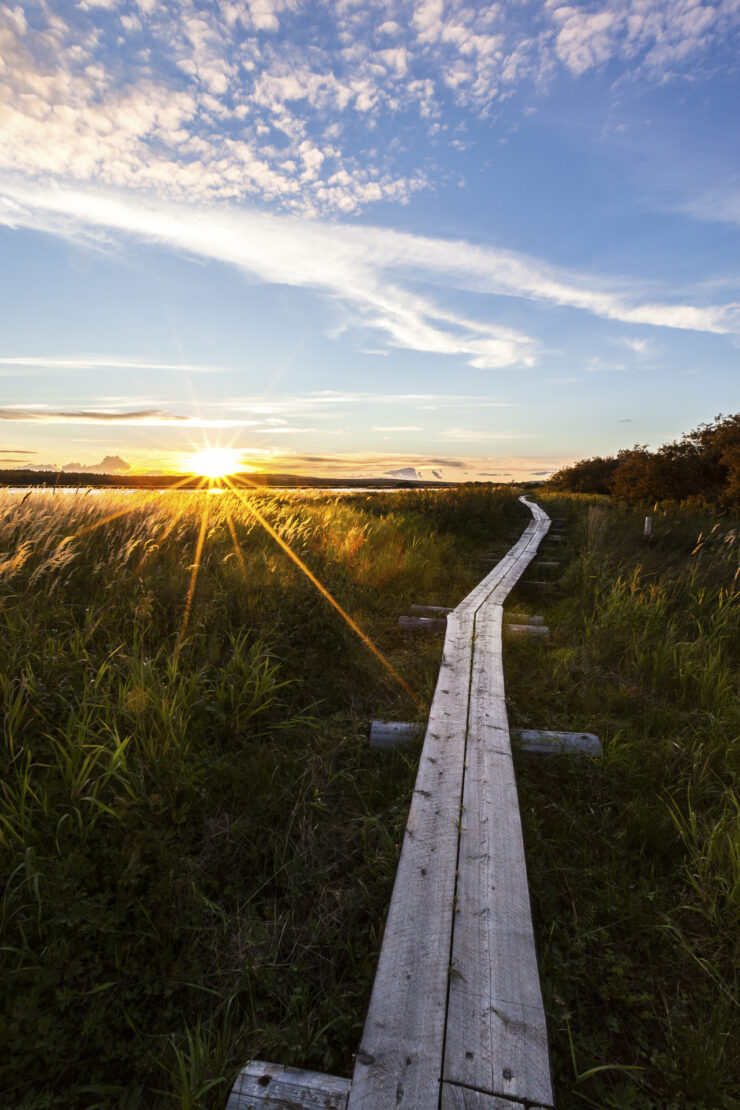 Pitkospuut niityn varressa auringonlaskun aikaan.